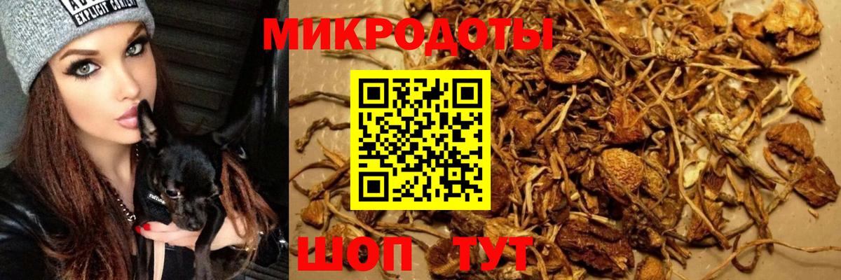 Галлюциногенные грибы Cubensis  Галлюциногенные грибы Magic Shrooms  Вход с VPN  Кисловодск 